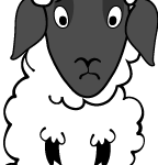 sheep facing front