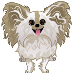 Papillon Dog