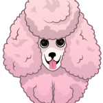 Pink Poodle