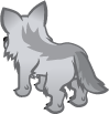 Back View of Wolf