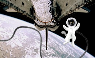 NASA Image of the Day of Spaceship, earth, and a cartoon cat