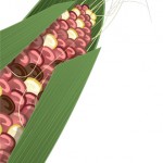 Corn Cob – copyright The Other Player, Art by Beth Carson