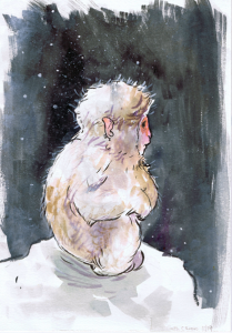 Baby Snow Monkey - Beth Carson www.bethcarson.co.uk